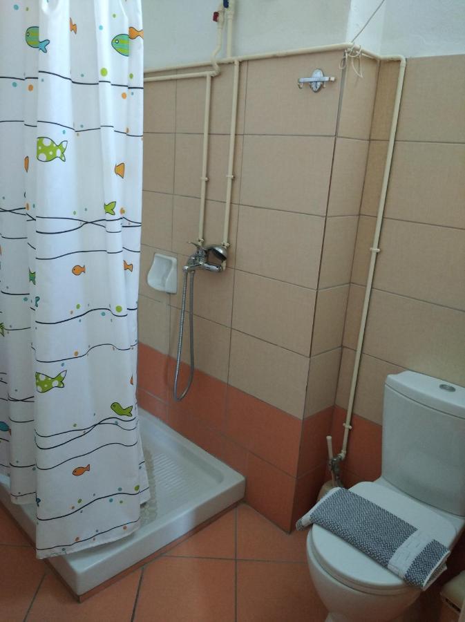 Hotel Ion كامينا فورلا المظهر الخارجي الصورة